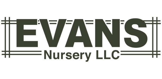 Evans Nursery