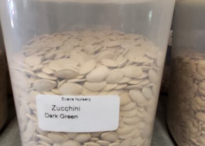 Zucchini Dark Green Bulk Seeds