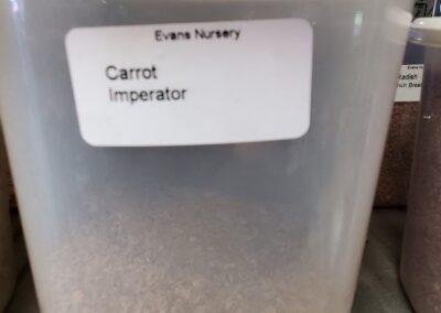 Carrot Imperator Bulk Seeds