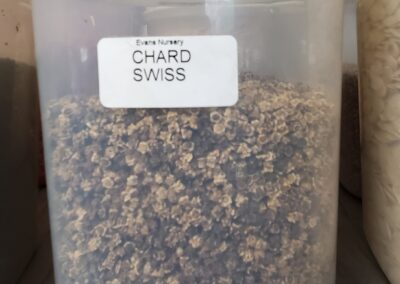 Chard Swiss Bulk Seeds