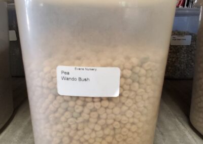 Pea Wando Bush Bulk Seeds