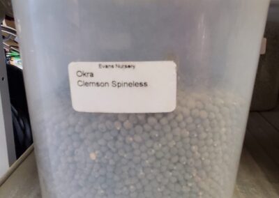 Okra Clemson Spineless Bulk Seeds