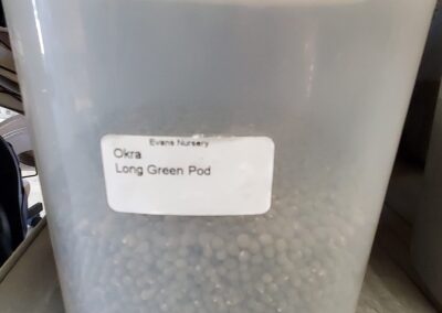 Okra Long Green Pod Bulk Seeds bulk seeds garden center