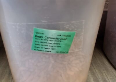 Bulk Seeds Bean Contender Bush bulk seeds garden center