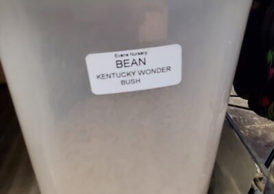 Bulk Seeds Bean Kentucky Wonder Bush garden center