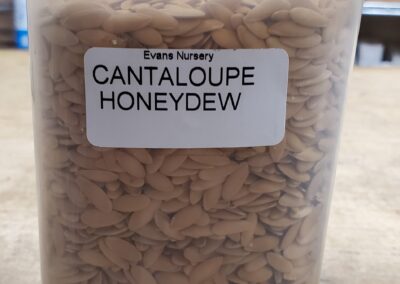 Cantaloupe Honeydew Bulk Seeds annuals