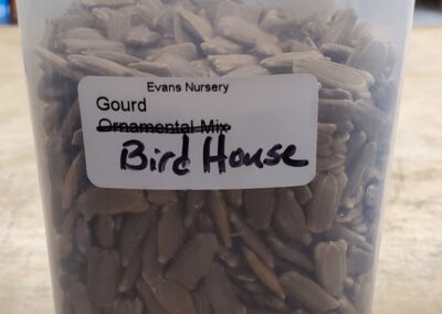 Gourd Bird House bulk seeds annuals, greyish brown flat-elongated seeds