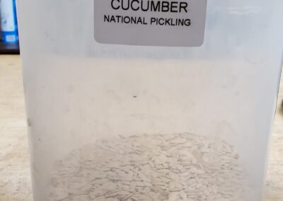 Cucumber National Pickling bulk seeds annuals flat white/tan in the shape of spearhead with a rounded end and pointed tip.