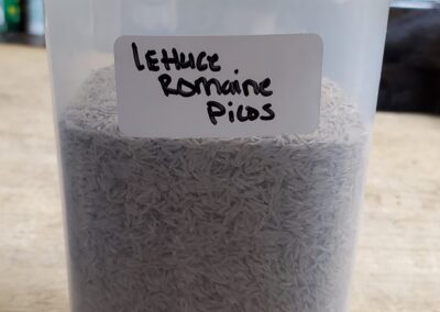 Lettuce Romaine Picos bulk seeds annuals