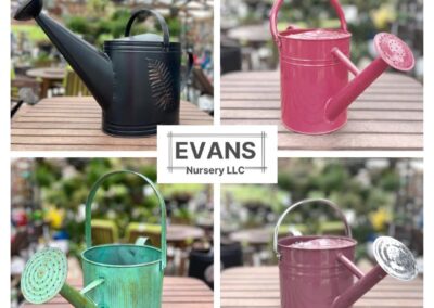 Watering Cans decorative and colorful